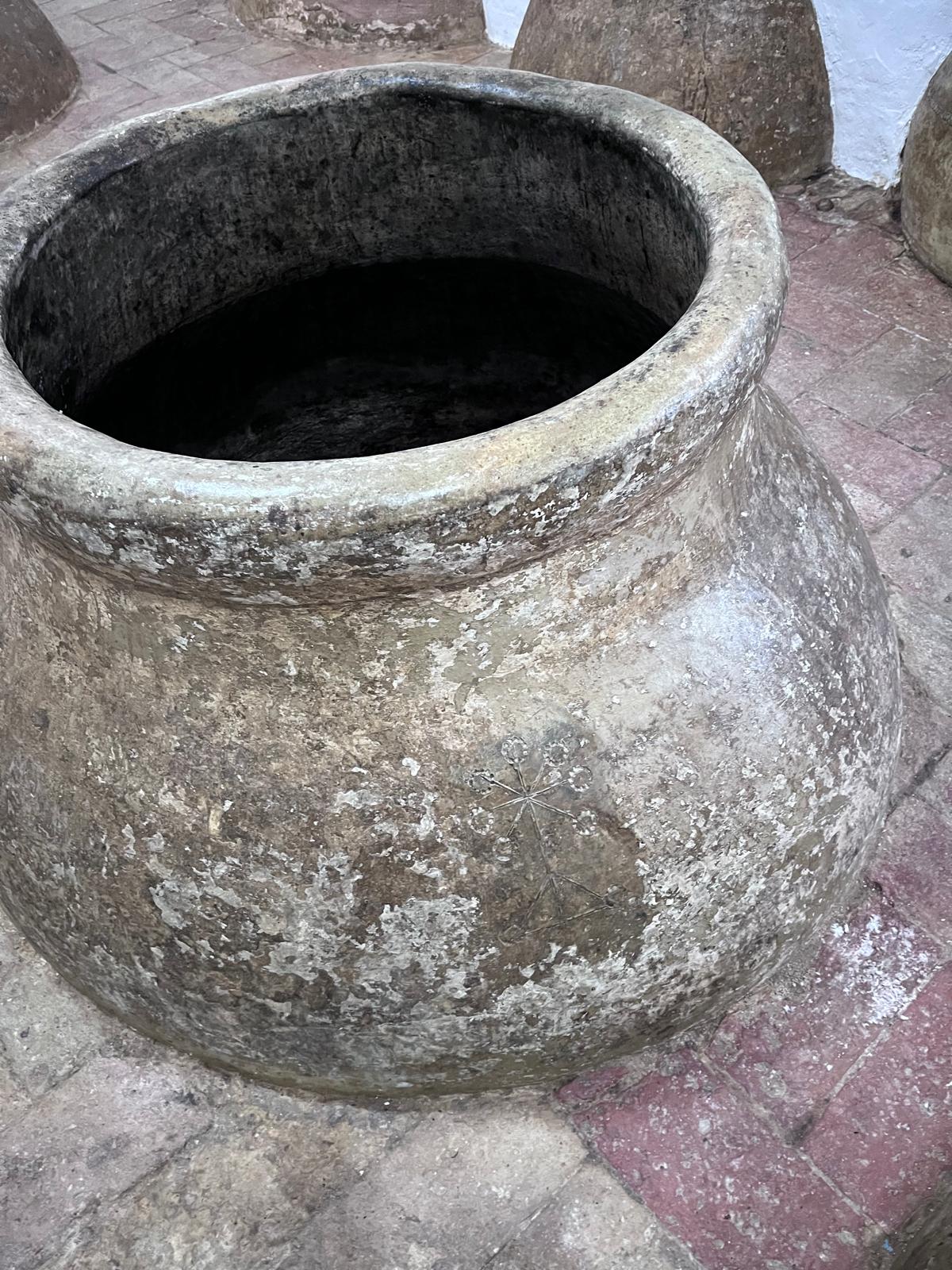 Reposo en Bodega