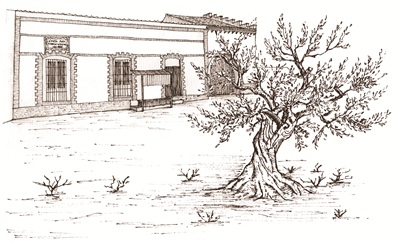 Molino 1928