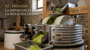 La importancia de la molienda en frío